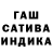 Канабис индика Tina Susanti