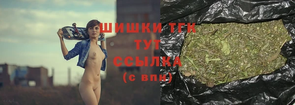 тгк Алзамай