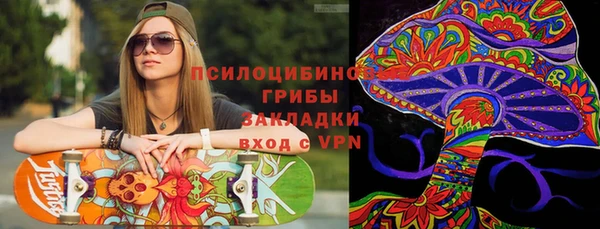 тгк Алзамай