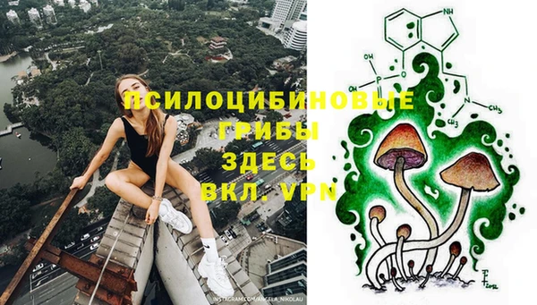 прущая мука Алексеевка