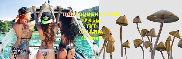 тгк Алзамай