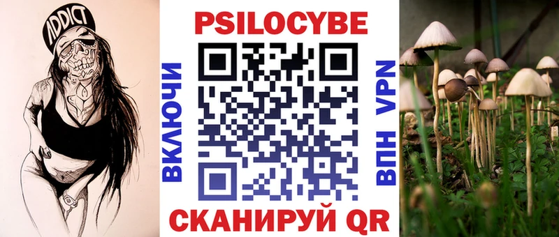 купить  сайты  Борзя  Псилоцибиновые грибы Psilocybe 