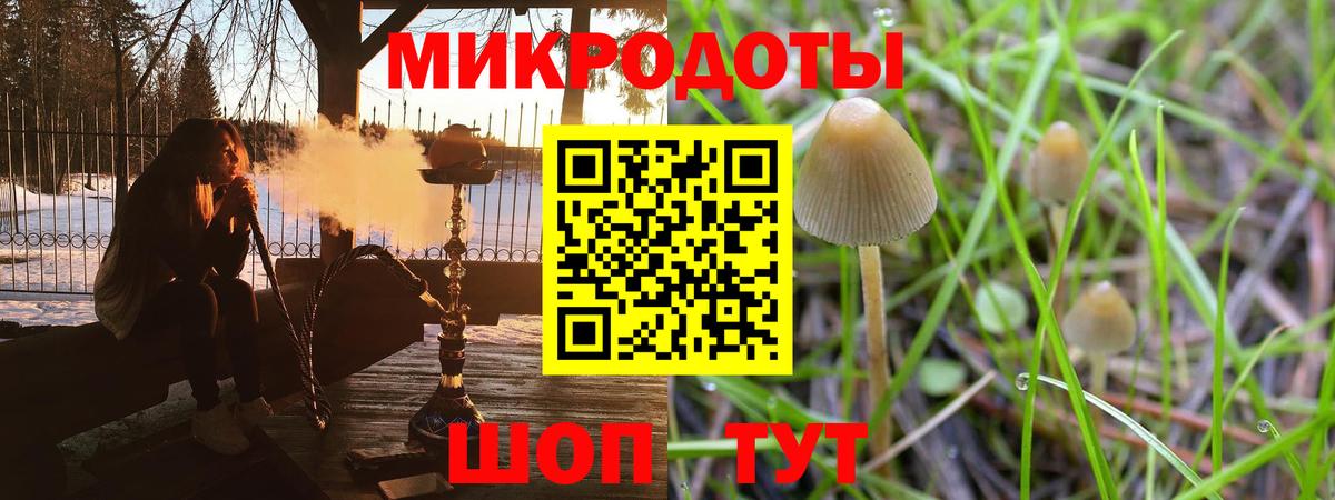 Псилоцибиновые грибы GOLDEN TEACHER Борзя