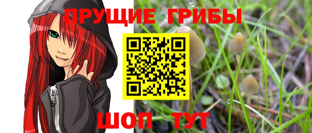 Борзя  Галлюциногенные грибы Magic Shrooms  Галлюциногенные грибы ЛСД  Вход с VPN 